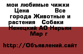 мои любимые чижки › Цена ­ 15 000 - Все города Животные и растения » Собаки   . Ненецкий АО,Нарьян-Мар г.